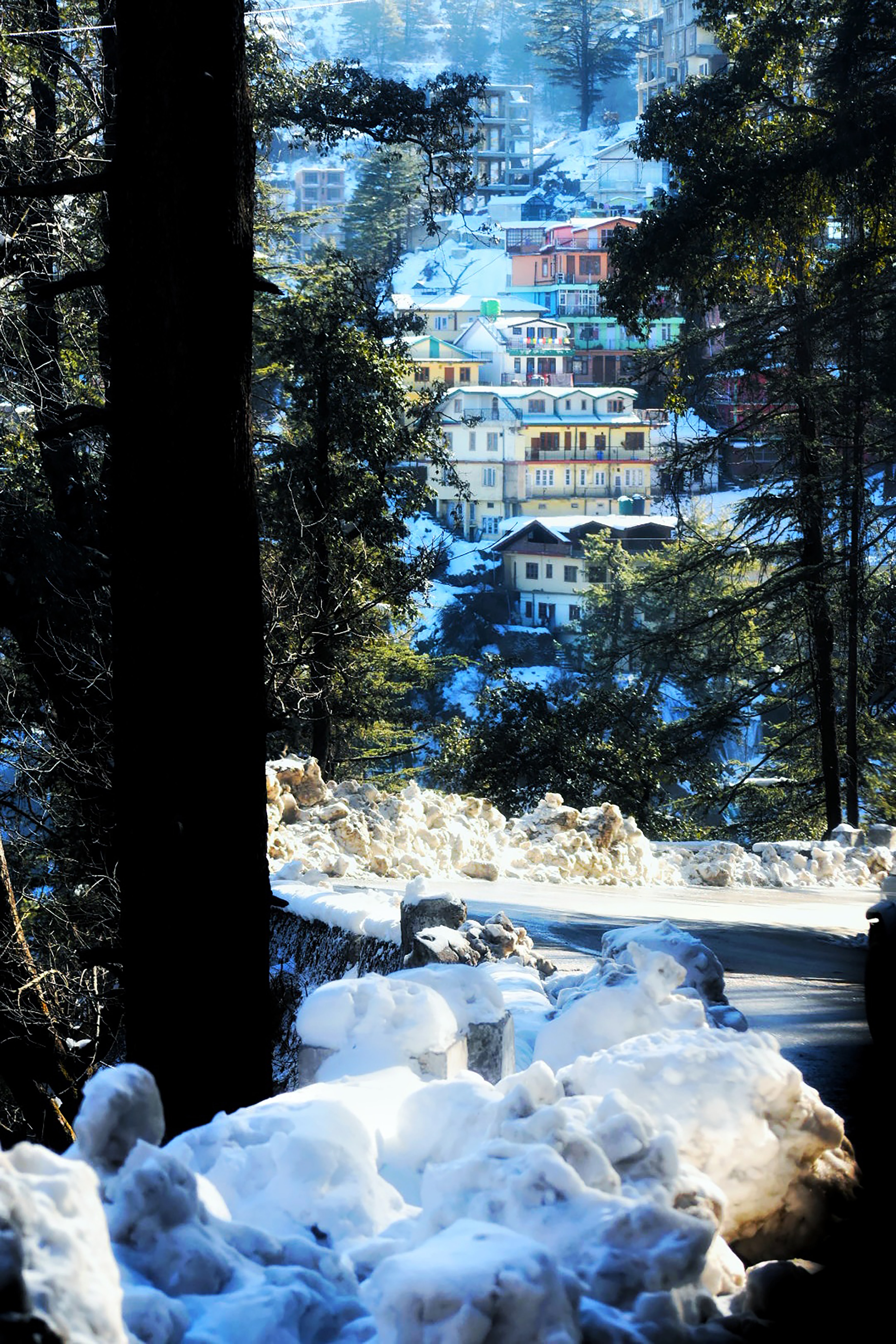 Shimla Volvo Tour Package