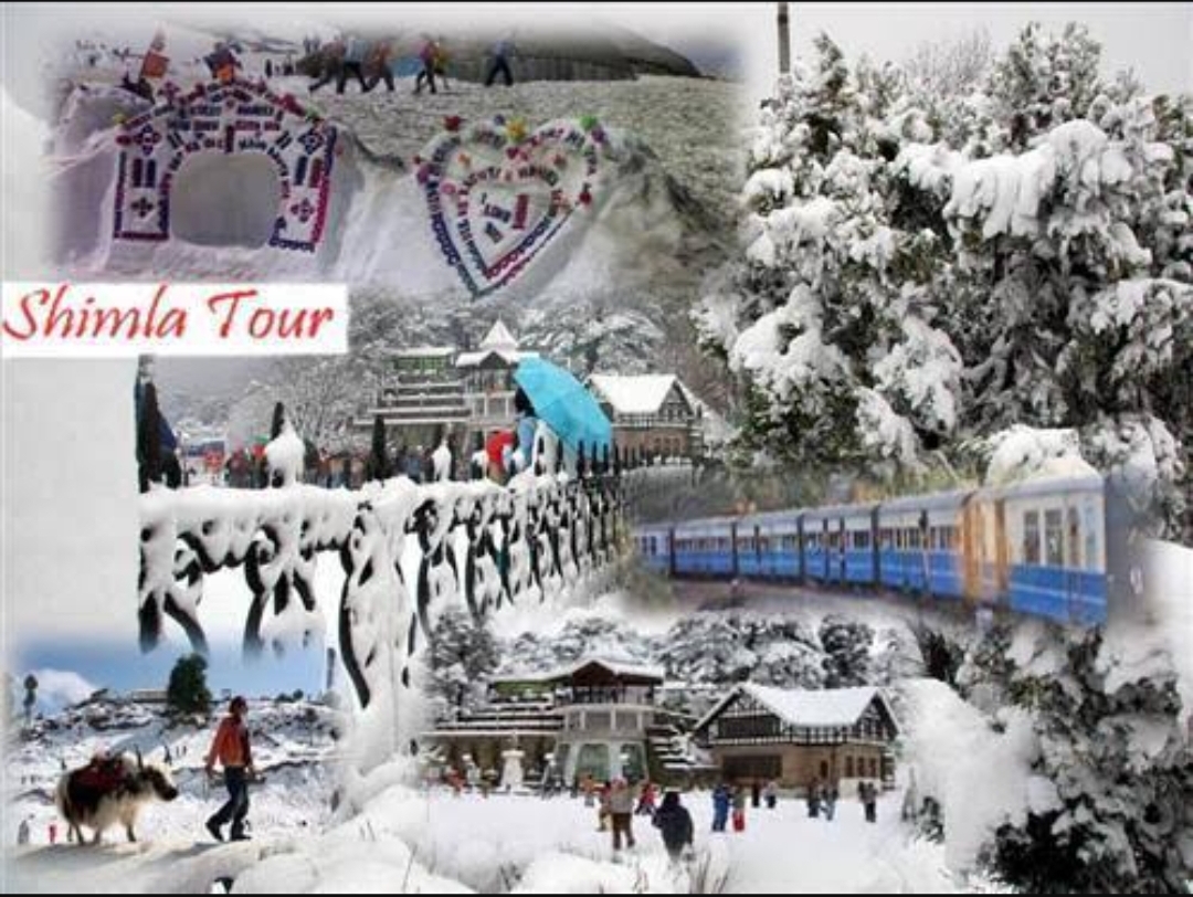 Shimla 2 Night 3 Days Tour Package