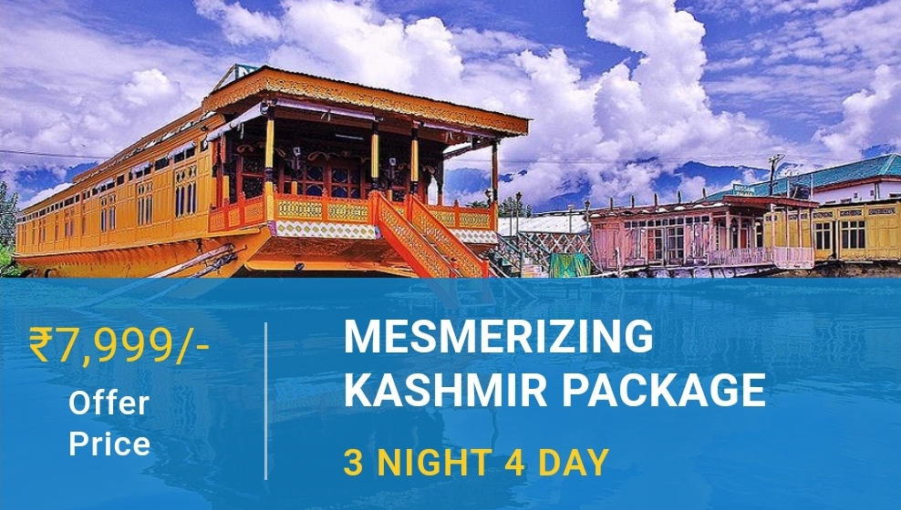 Mesmerizing Kashmir 3 Night 4 Day Package