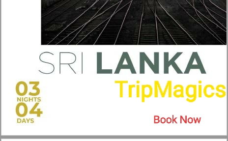 03 Nights 04 Days Tour in Sri Lanka 