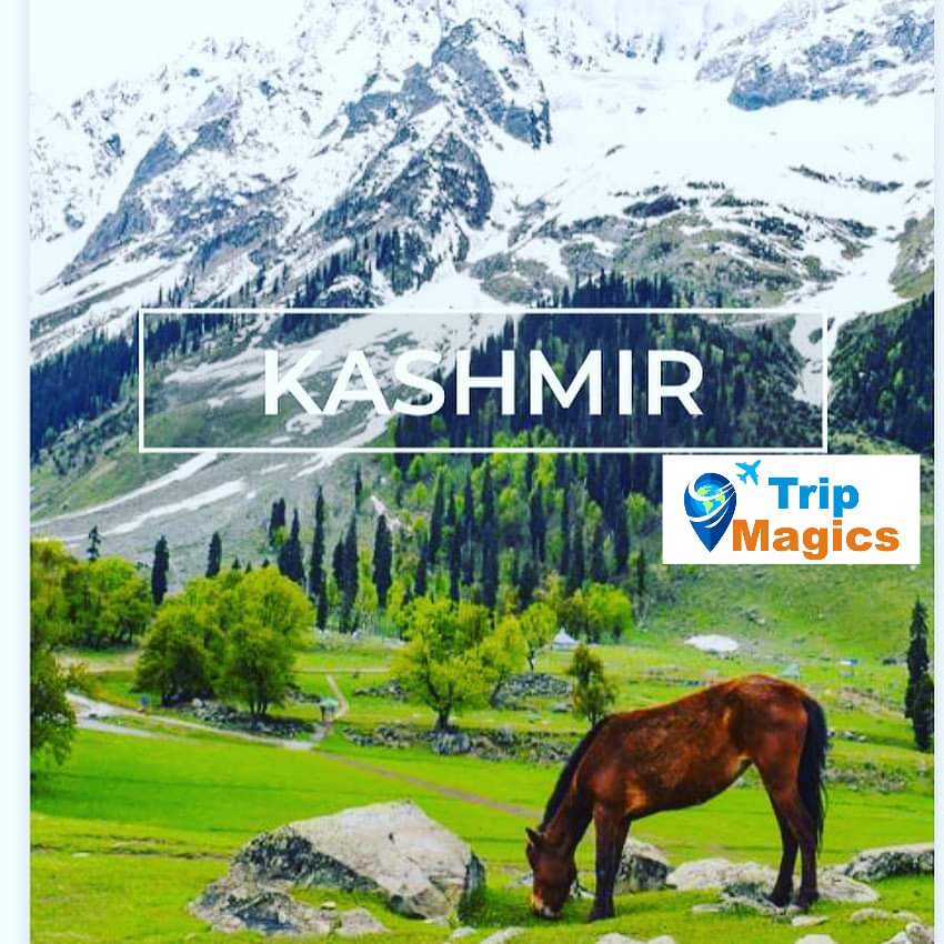 Kashmir Family Tour For 3 Nights 4 Days
